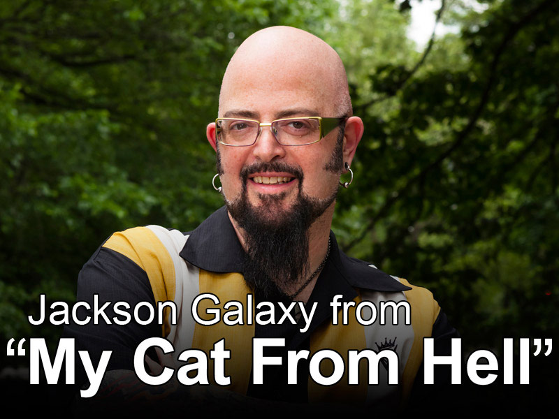 jackson galaxy tunnel